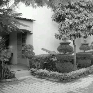 Meet your Posher, Damien